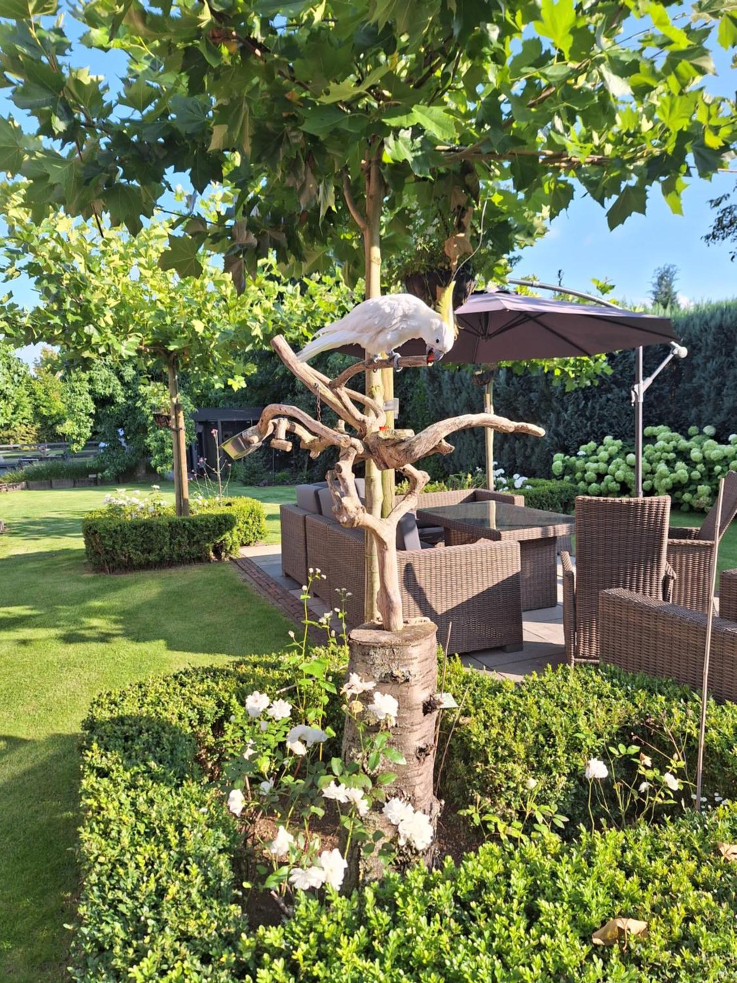 B&B De Raamberg Zundert Exterior photo